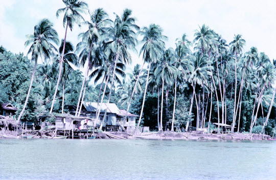 馬來西亞東岸 Kuala Terengganu  Marang 漁村
