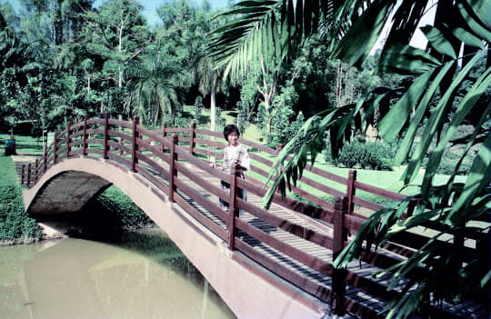 馬來西亞吉隆坡湖濱公園 (Lake Gardens)